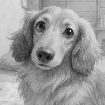 G0lrO's profile picture. ミニチュアダックスフンド10歳の飼い主です。世界中の動物虐待に抗議します。🦭🦘🐘🐫🦒🐃🐄🐖🐏🐎🐕🐈🦮🐓🦃🦤