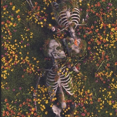 BeautyDiva86's profile picture. lew lew may cho em