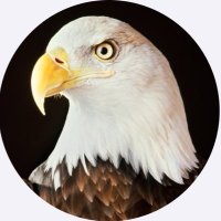 Randy (@mo24564) 's Twitter Profile