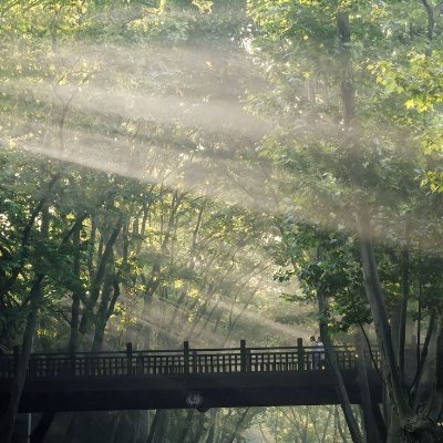 KS_love_TS's profile picture. lew lew may cho em