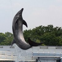 もっちー🐬 (@mochimochimint) 's Twitter Profile