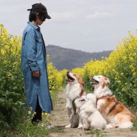 ふった (@05_oamns) 's Twitter Profile