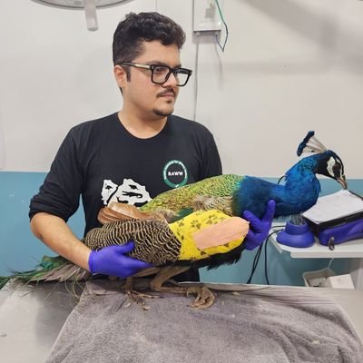 raww_tweets's profile picture. Wildlife Advocate & Conservationist
Founder & President - RAWW
Leading grassroot non-profit working towards wildlife rescue & conservation in Mumbai & MMR.
