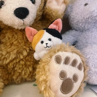 25.07.09〜 実家⇒@ippaitaberu_inu 福まるとお友達の日常 敬語で饒舌にはなす猫