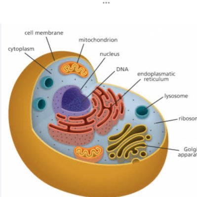 yamwunfen84706's profile picture. 