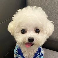 Seed (@zachary03665668) 's Twitter Profile