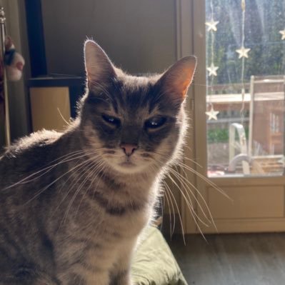 waltzdva's profile picture. 