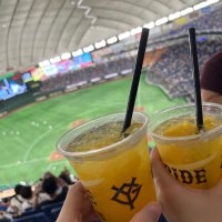 のとね (@notonest) Twitter profile photo