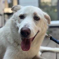 Mookie (@mookieintlv) 's Twitter Profile Photo