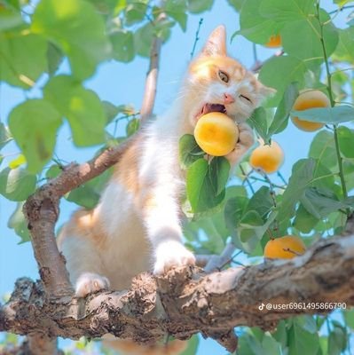 Mommam__1992's profile picture. 