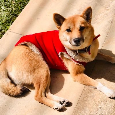 MEve21238's profile picture. Salut c’est moi 🇲🇽🇫🇷