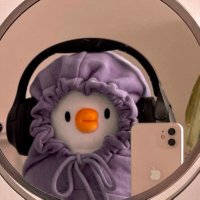 Sisu (@_sisuuu) Twitter profile photo