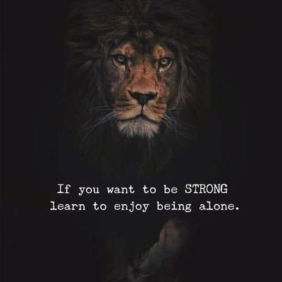 AshuSoy's profile picture. I am surrounded by straight friends and looking for someone who is not.