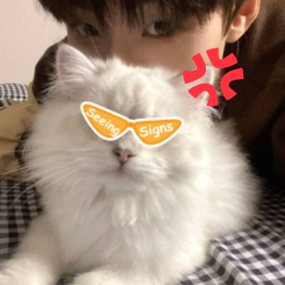 xxoo13149's profile picture. 撸毛大学生，投研小将
现在主干撸毛，绝不玩合约!!
社区建设者
链上投机者