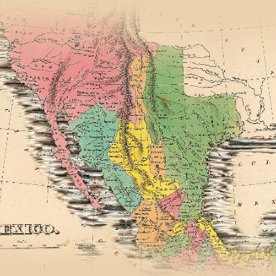 Historian/translator/editor and author. NEW BOOK: AFRO-MEXICAN LIVES IN THE LONG 19TH-CENTURY: SLAVERY, FREEDOM, AND THE WRITING OF HISTORY