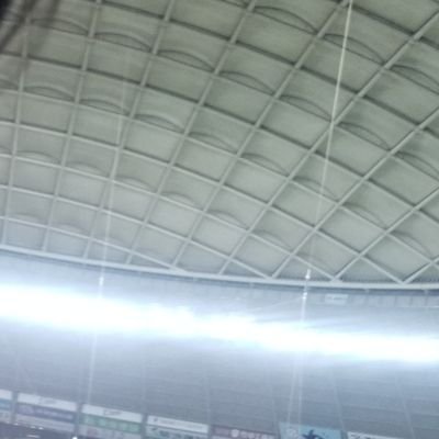 とうもろこしのきせつさんのプロフィール画像