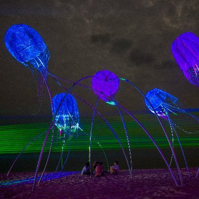 vikktomoonz's profile picture. tami tami