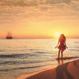 Torihig683's profile picture. 