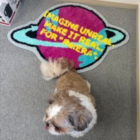 もち🐈‍⬛♔︎*🖤 ྀི (@puripuri_pupupu) 's Twitter Profile Photo