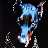 depx (@r4g4tang) 's Twitter Profile Photo