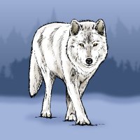 Kurt (@akurtcrypto) Twitter profile photo