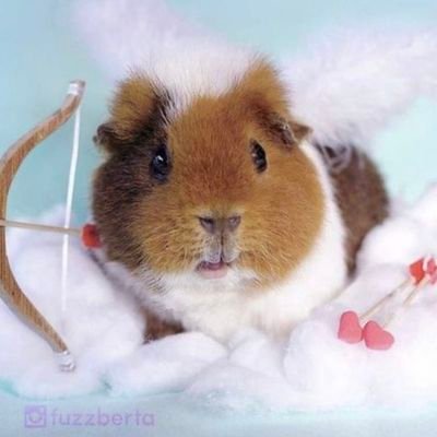 우왕さんのプロフィール画像
