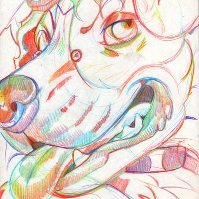 bigteethdog's profile picture. 23| horror enthusiast. artistic nudity. queer transmasc. icon by @taintedsweetmeats, banner @ghoshouse