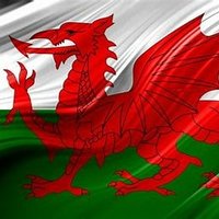 Cleddau Celt (@cleddaucelt) 's Twitter Profile