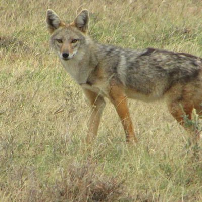 tsakalsam97663's profile picture. 