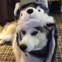 xıx. (@_uniivxrsc) 's Twitter Profile