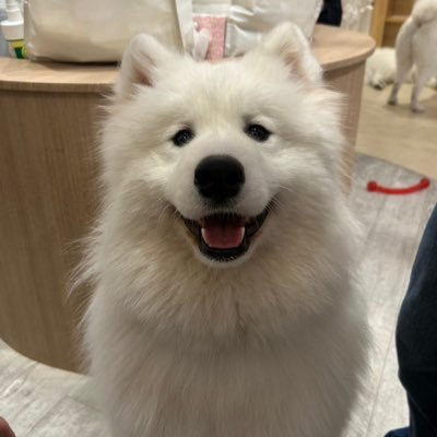 nichi_samo's profile picture. LRM corp. 〜SRE&SWE〜/発言は個人に帰属します / 炊飯 Reliability EngineerとしてSLA 100%の炊飯を実現します。
