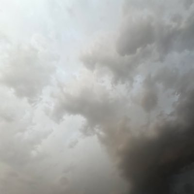 kaurjasmine0's profile picture. I bite