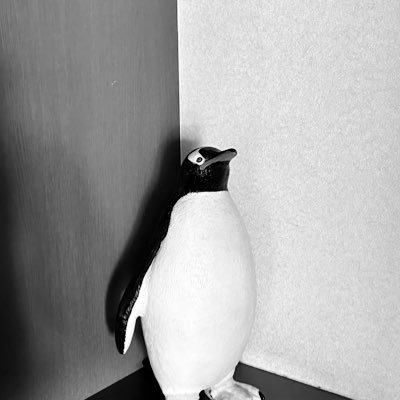 pngn_18's profile picture. 社会に出て人並みに働いているフリをしています