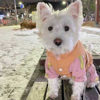 Jun_12211's profile picture. 인생의 목표.