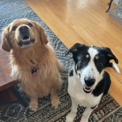 CastrechinoLU's profile picture. 