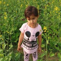 Ayesha Khan (@fmover113) 's Twitter Profile
