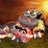 RAREPOOBOX's profile image