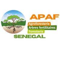APAF SENEGAL (@apafsenegal) 's Twitter Profile Photo APAF SENEGAL (@apafsenegal) 's Twitter Profile Photo