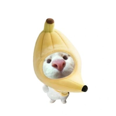 PhngNguynT68460's profile picture. 