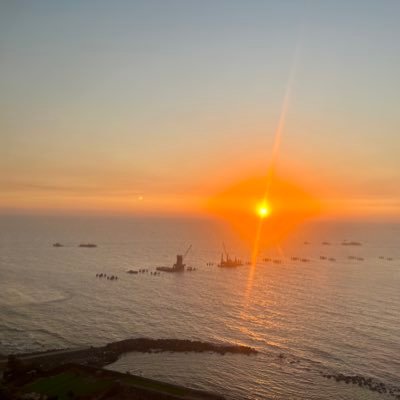 nononsensing's profile picture. 