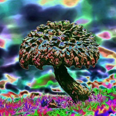 PROFESSIONAL Grower & Vendor of Psychedelic Products, Mushroom🍄, Spores 💉 🍄LSD DMT🌈☀️ 🍄Chocolate Bars🍄🍫..🍄 Micro dose💊