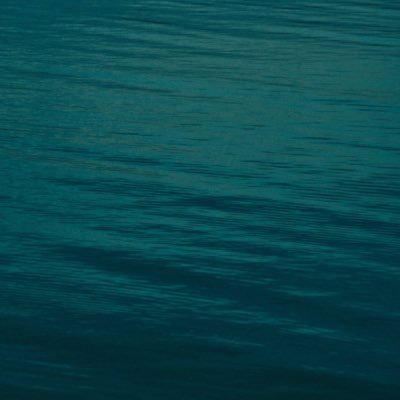 tomdeiner's profile picture. 