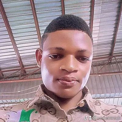 Vincent91329730's profile picture. 