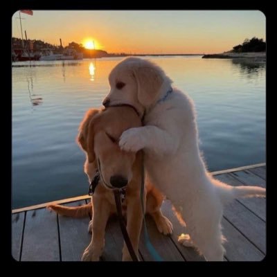 honeyeeed's profile picture. 