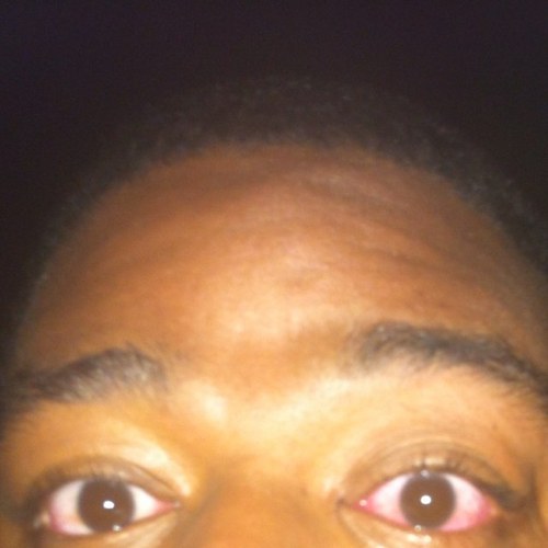 allhailgreg's profile picture. 