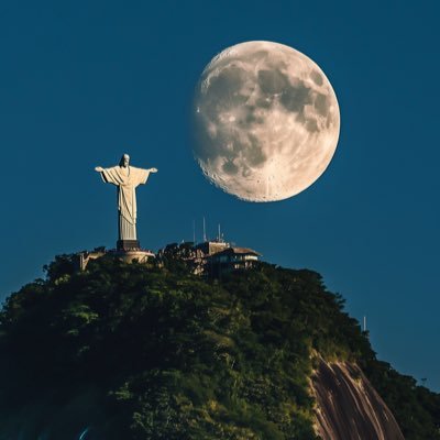 le_mecz's profile picture. superfamily