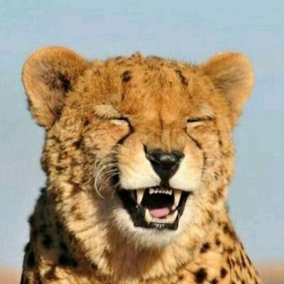 AndrBate's profile picture. 