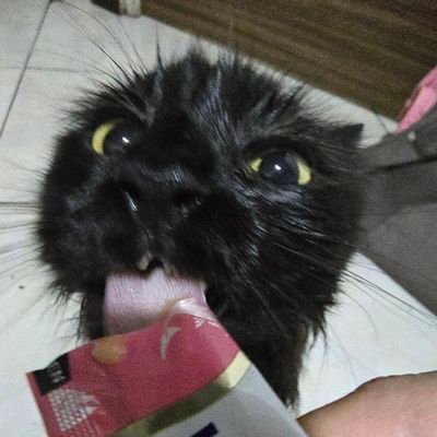 samanthaさんのプロフィール画像