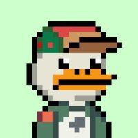 Raks (✧ᴗ✧) (@0xraks) 's Twitter Profile