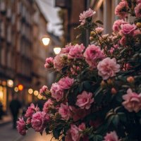 مشاعل سكليف🇸🇦🇸🇦🇸🇦 (@adm253290) 's Twitter Profile Photo